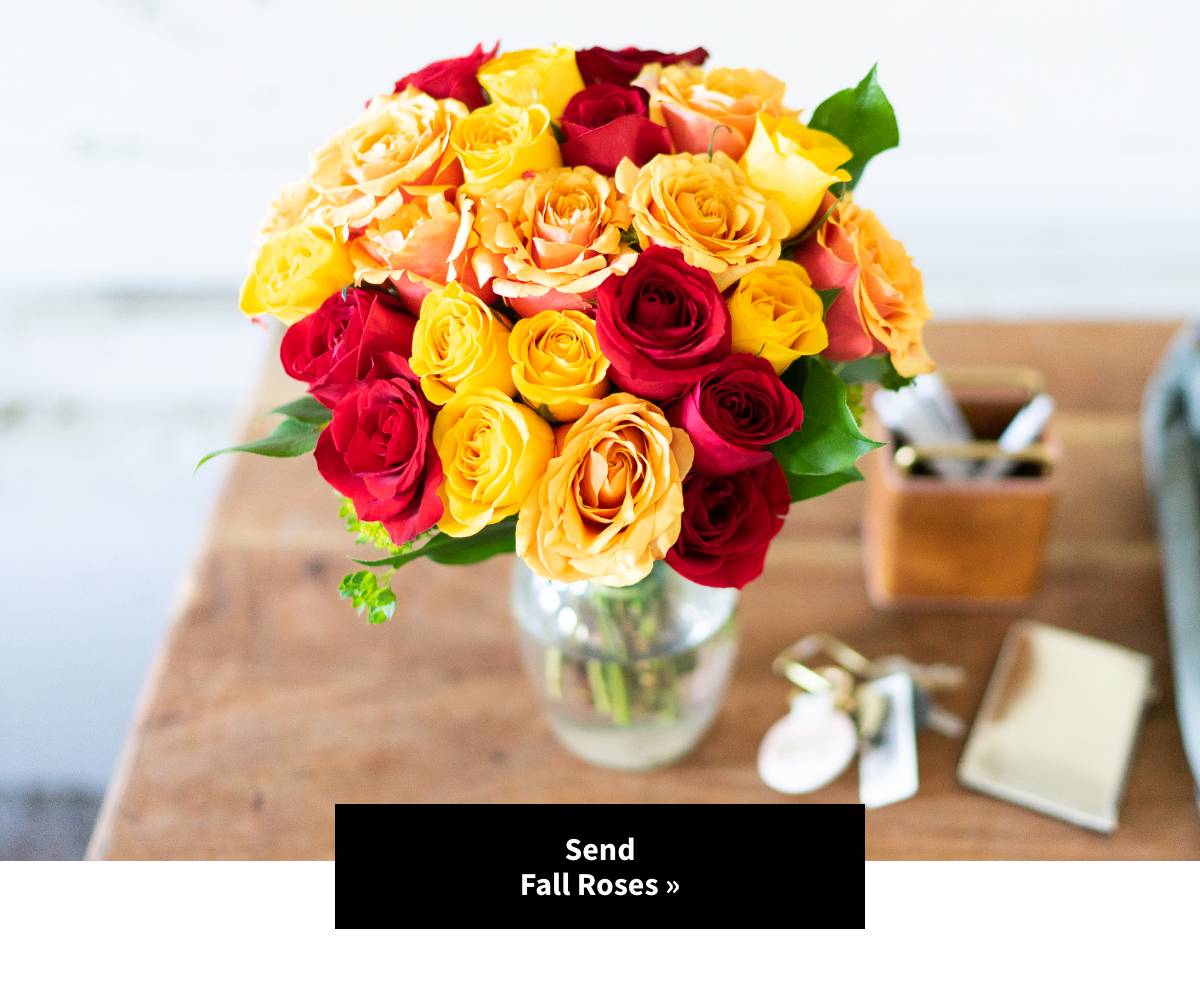 Shop Fall Roses »