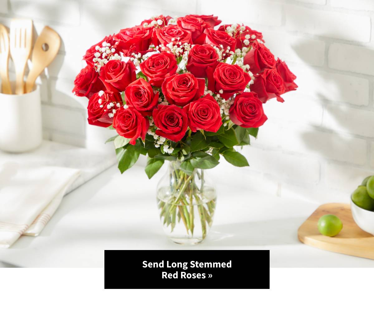Send Long Stemmed Red Roses »