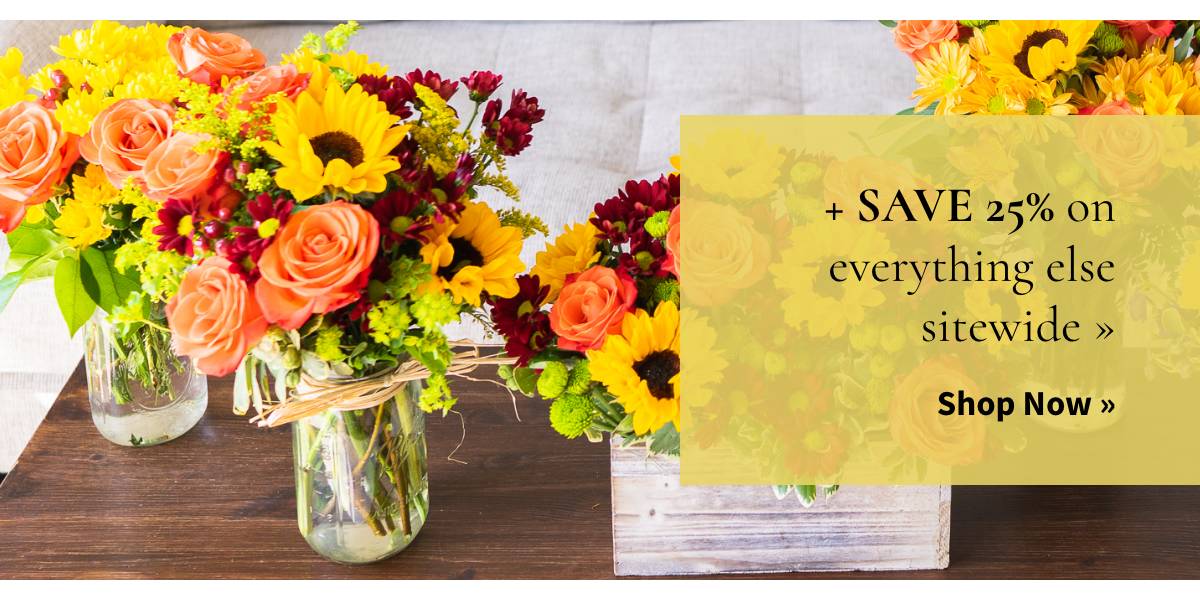 +Save 25% on everything else sitewide. »
