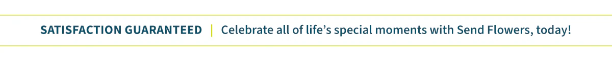 Celebrate all of life's special moments.