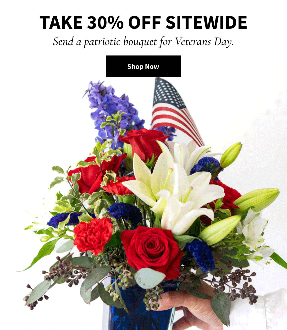 Take 30% Off Sitewide. Shop Now »