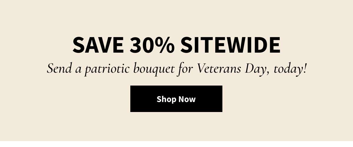Save 30% Sitewide. Shop Now
