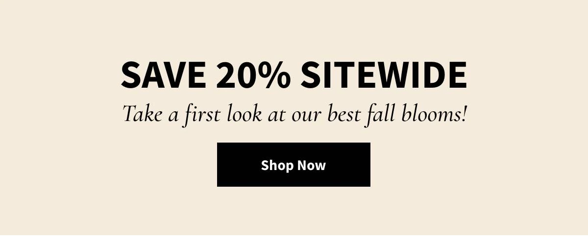 Save 20% Sitewide Shop Now