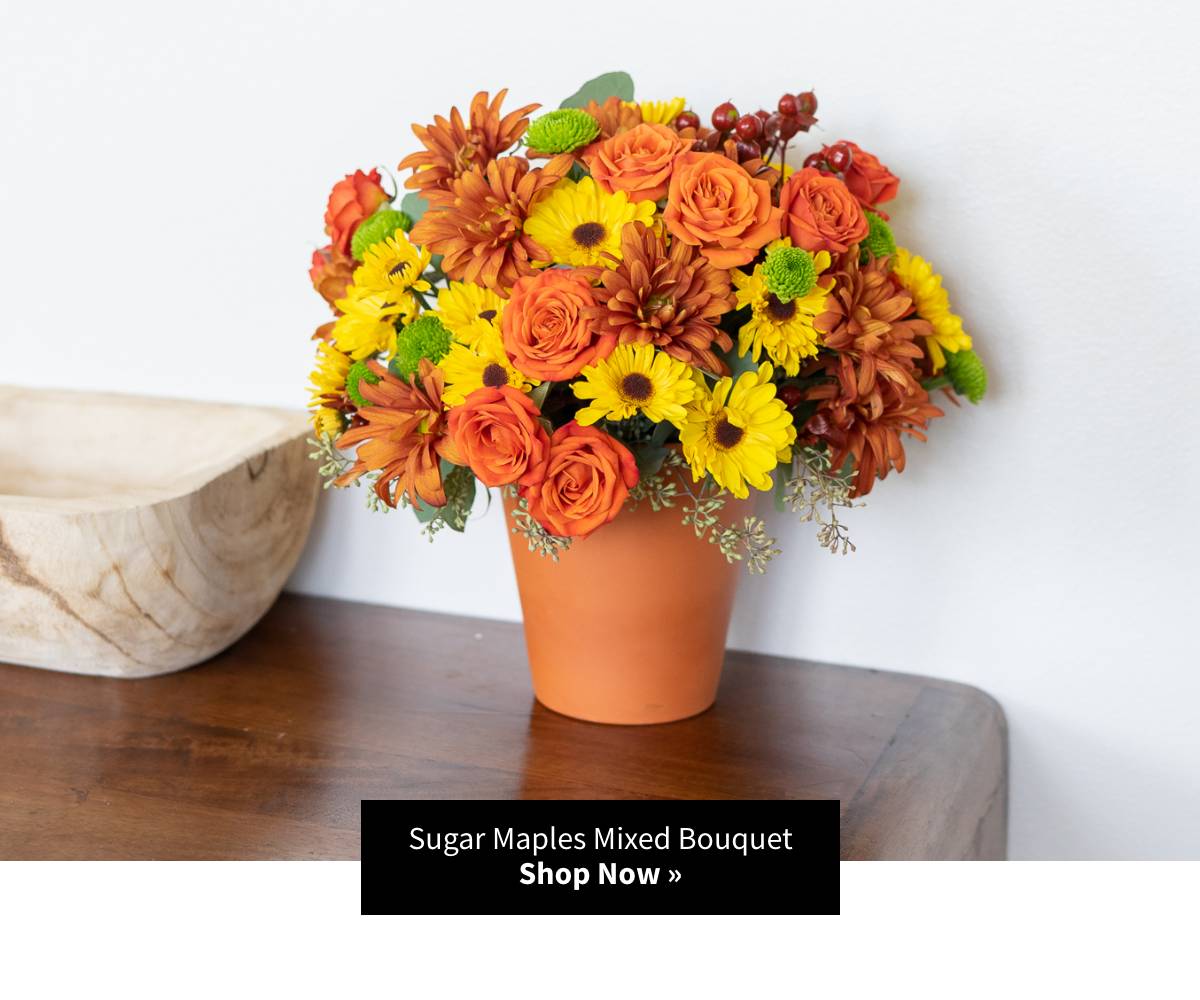 Shop Now »