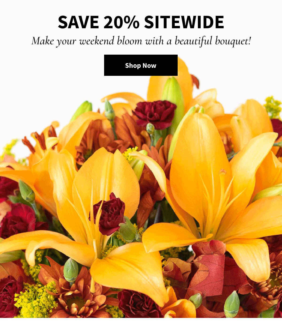 Save 20% Sitewide. Shop Now. »