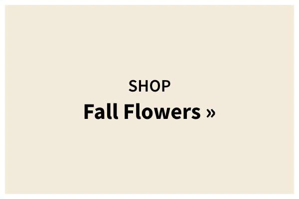 Shop Fall Flowers »