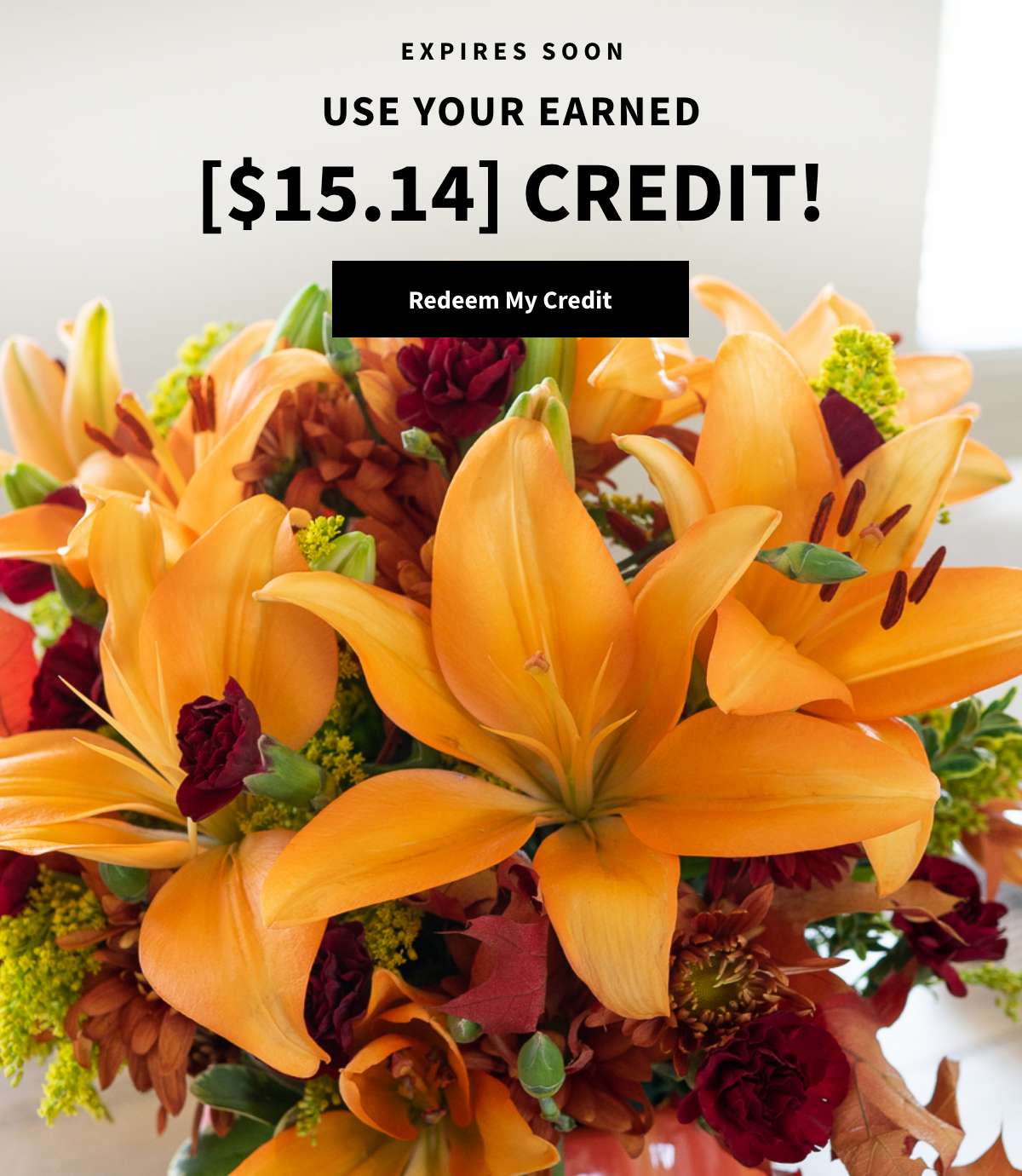 Use your earned [$15.14] Credit. Redeem My Credit »