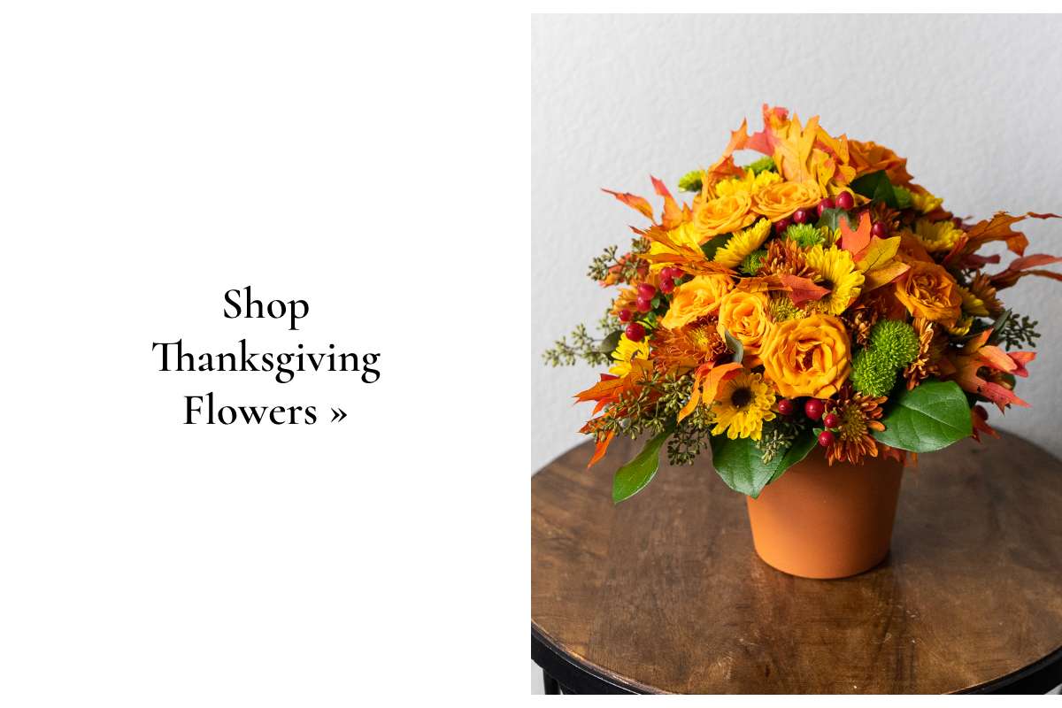 Shop Thanksgiving Flowers »