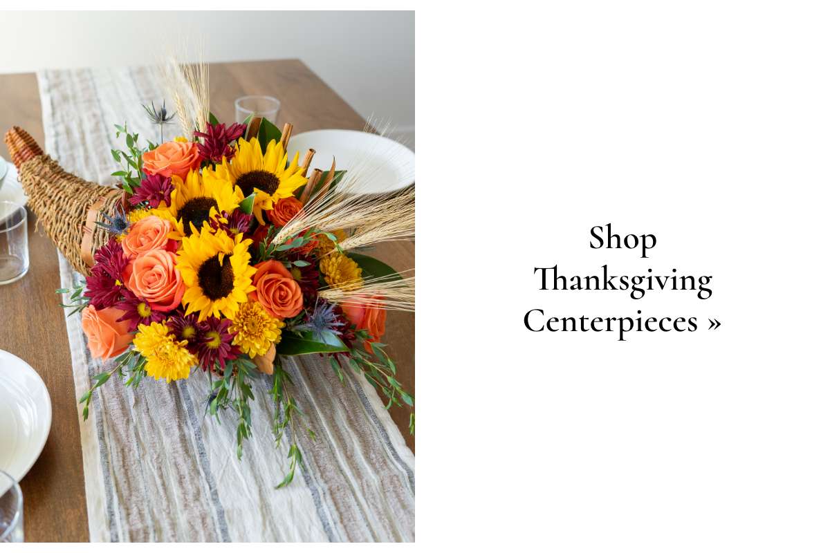 Shop Thanksgiving Centerpieces »