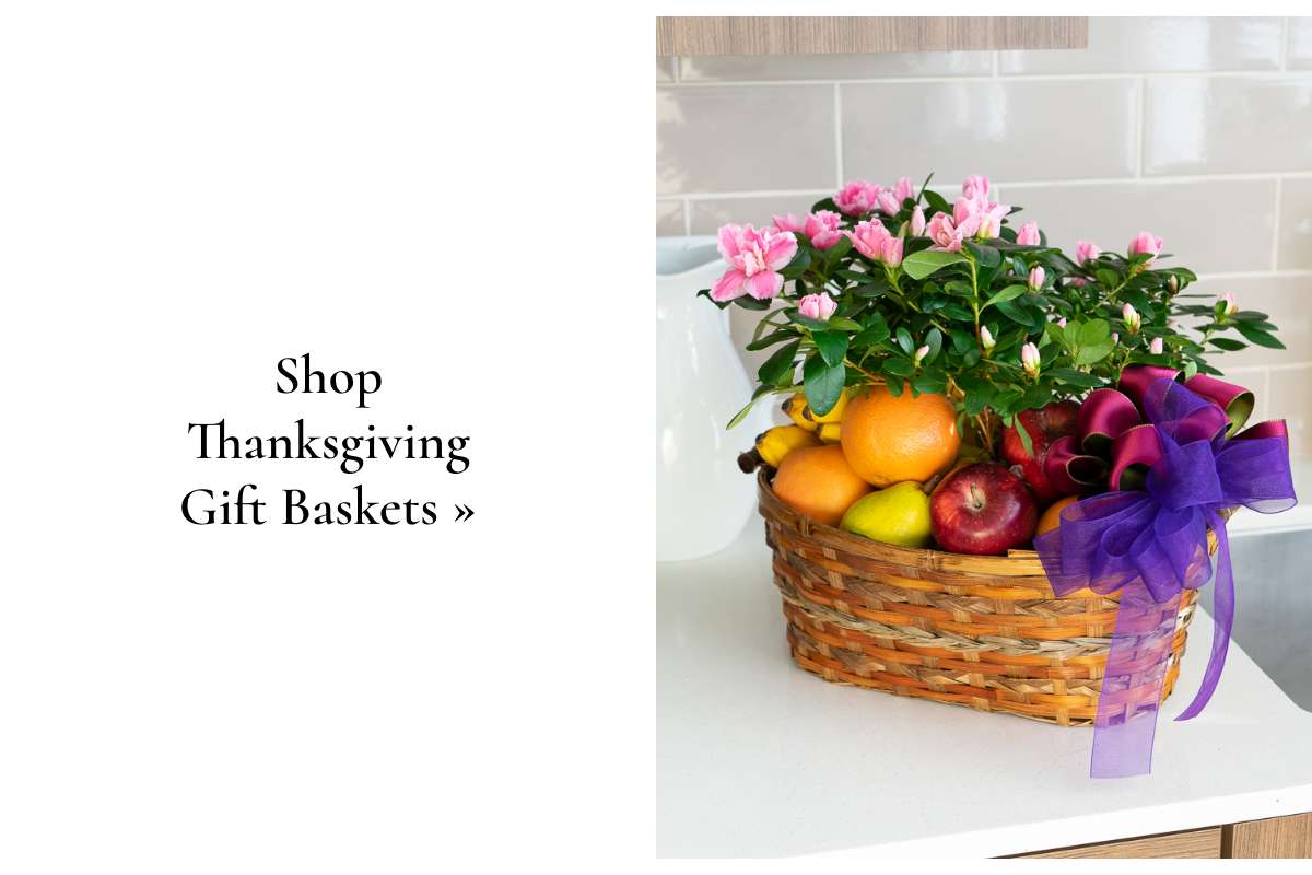 Shop Thanksgiving Gift Baskets »