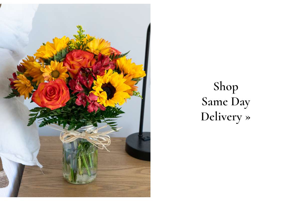 Shop Same Day Delivery »
