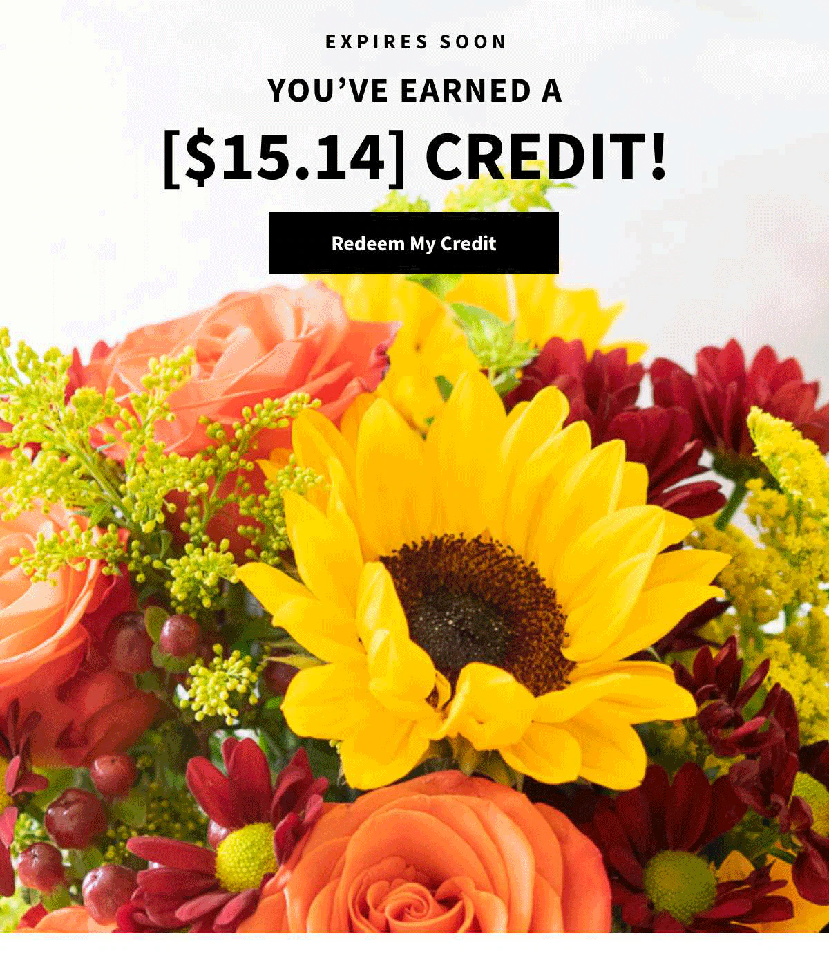 You've Earned a [$15.14] Credit. Redeem Now »
