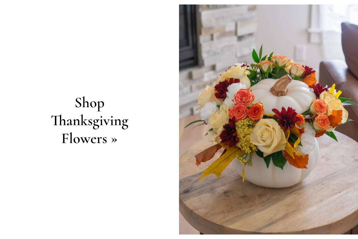 Shop Thanksgiving Flowers »