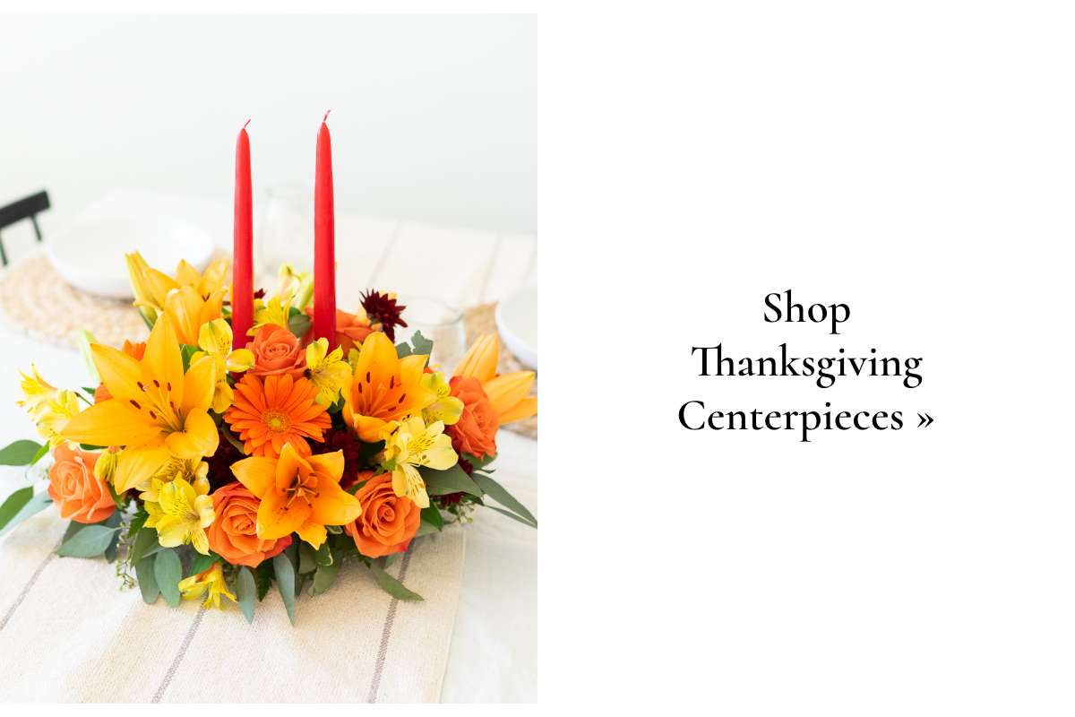 Shop Thanksgiving Centerpieces »