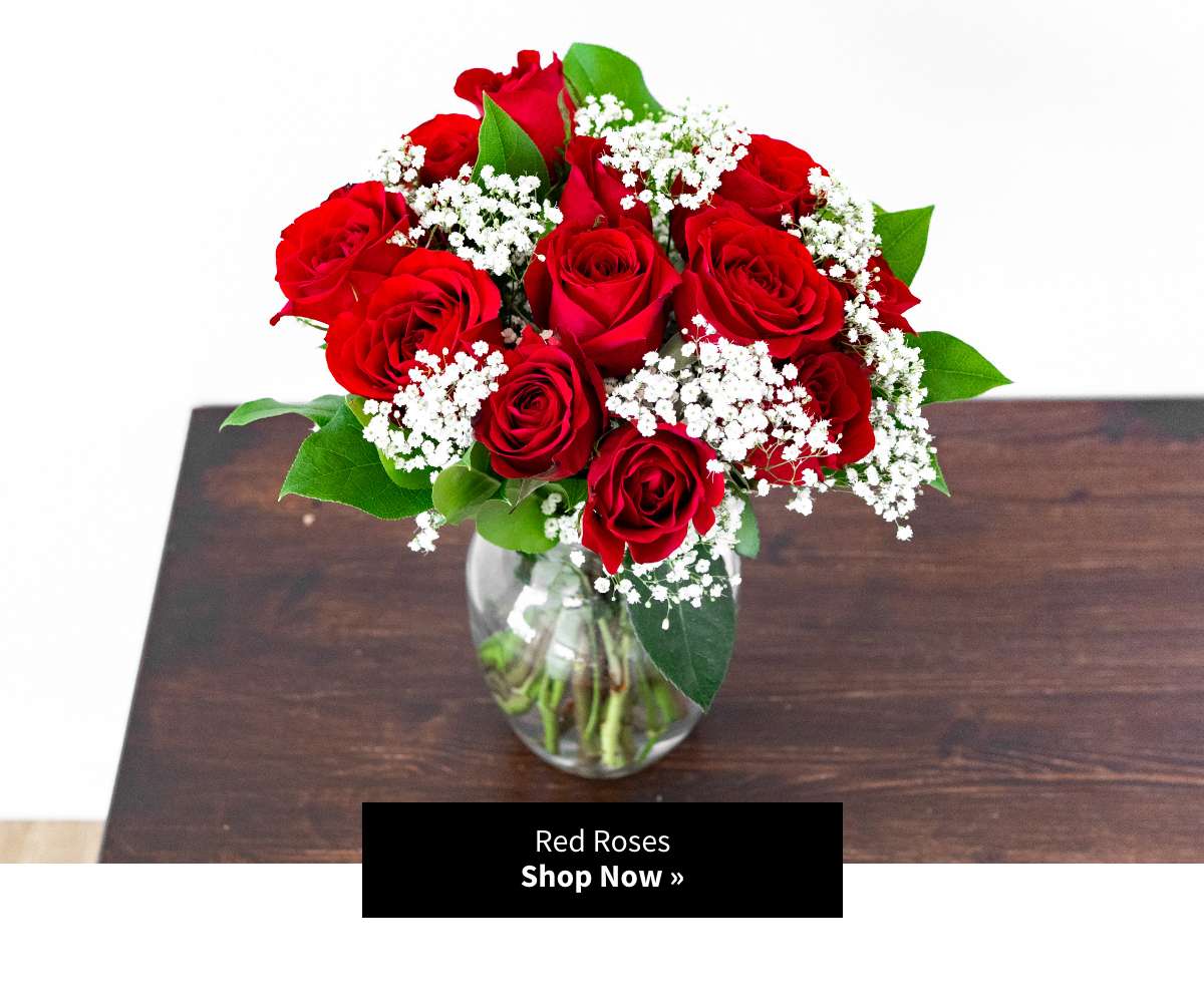 Shop Now »
