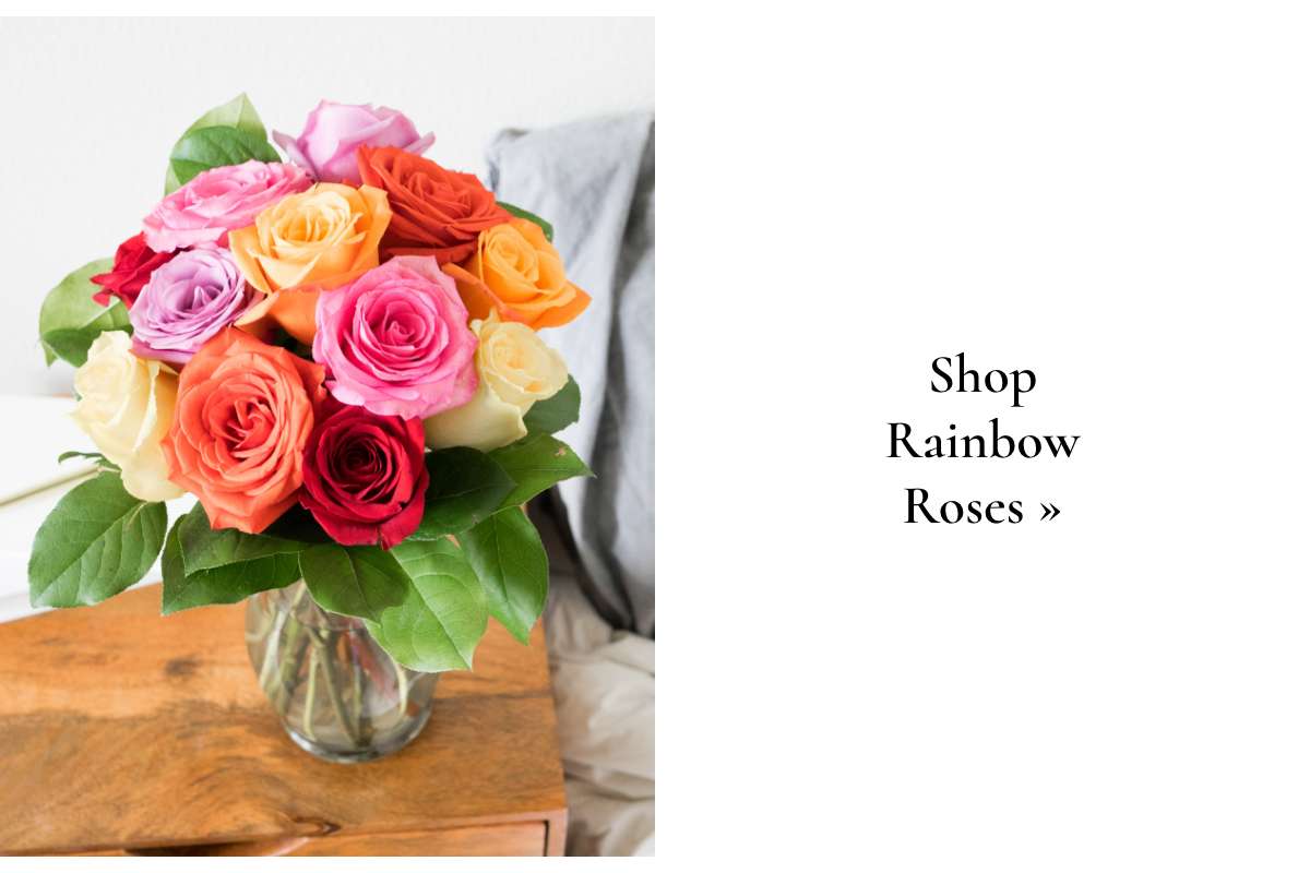 Shop Rainbow Roses »