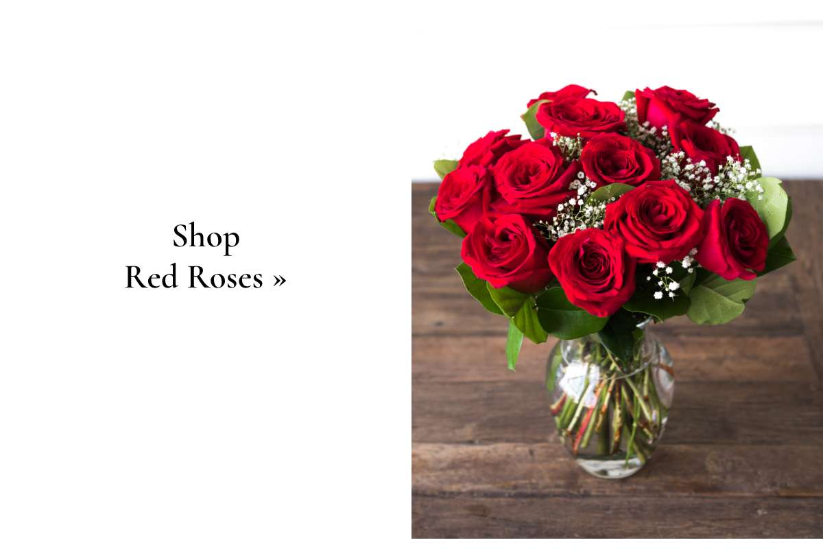 Shop Red Roses »
