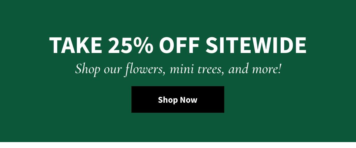 Take 25% Off Sitewide. Shop Now »