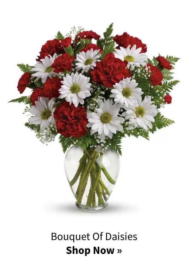 Shop Now »