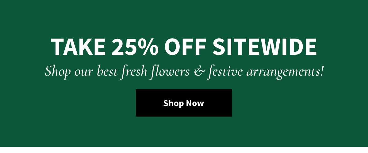 Take 25% Off Sitewide. Shop »