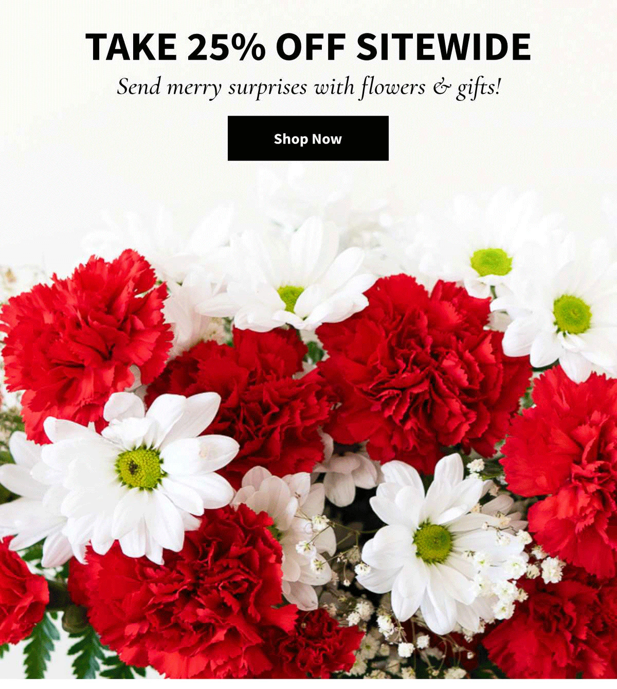 Take 25% Off Sitewide. Shop Now »