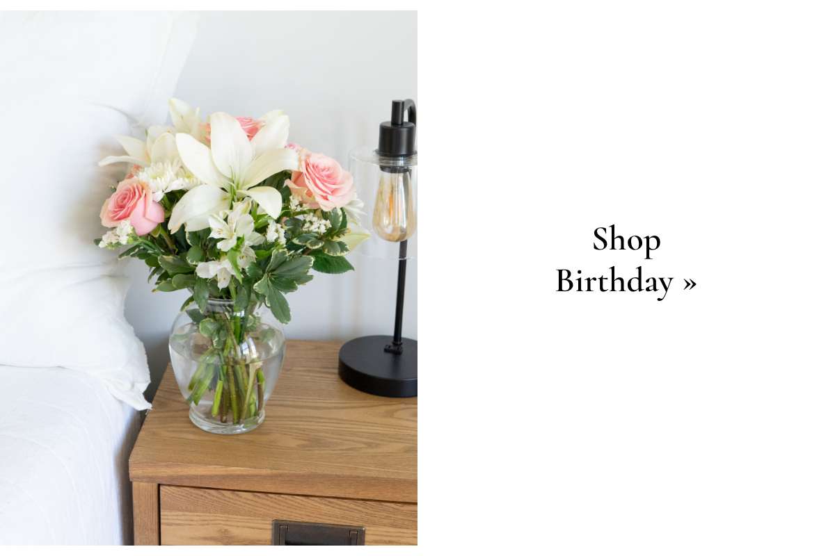 Shop Birthday »