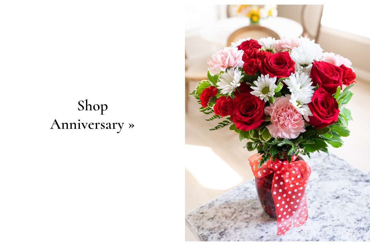 Shop Anniversary »