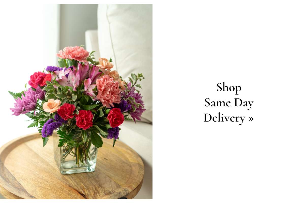 Shop Same Day »