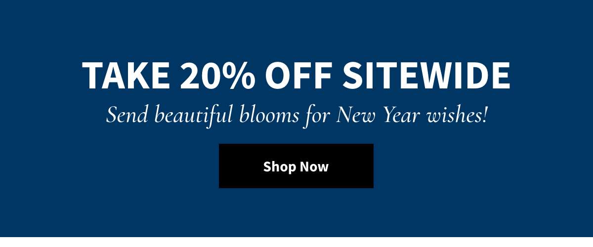 TAKE 20% OFf Sitewide. Shop Now »