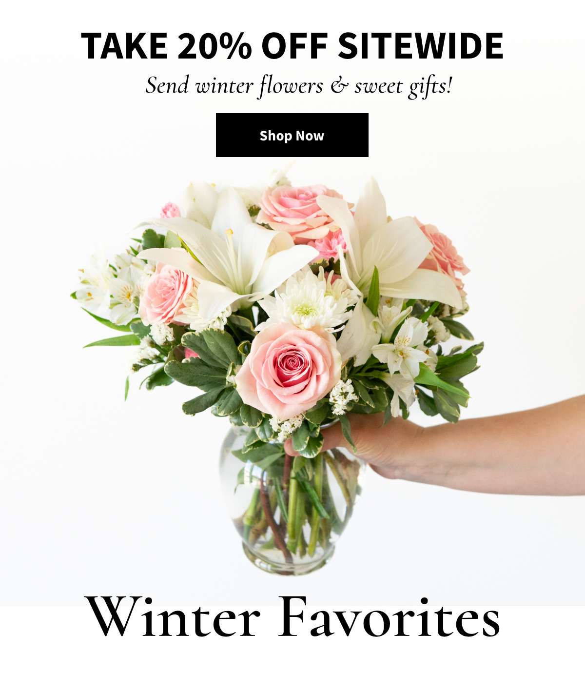 20% OFF SITEWIDE. Shop Now »