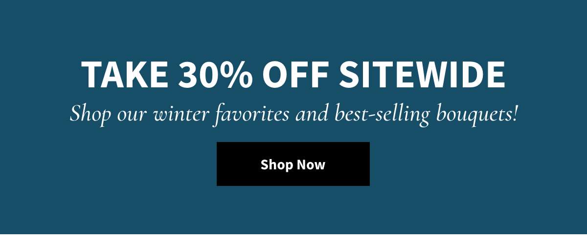 Take 30% Off Sitewide. Shop Now.