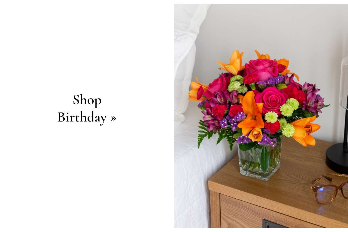 Shop Birthday »