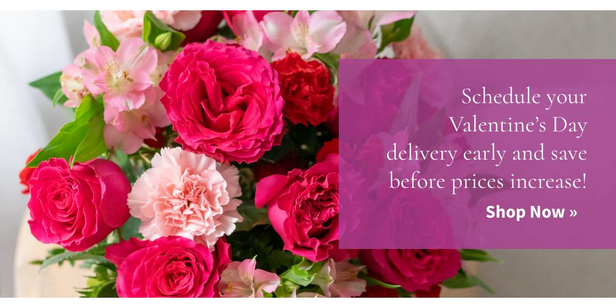 Schedule your Valentine's Day delivery early and save before prices increase! Shop Now »