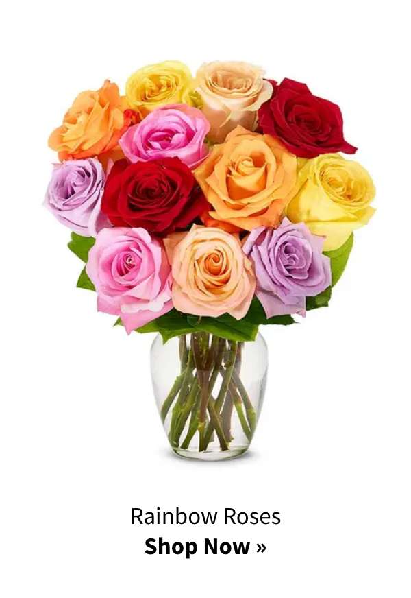 Shop Now »