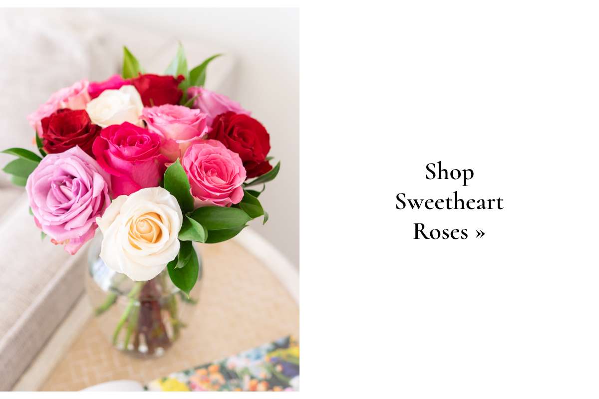 Shop Sweetheart Roses »