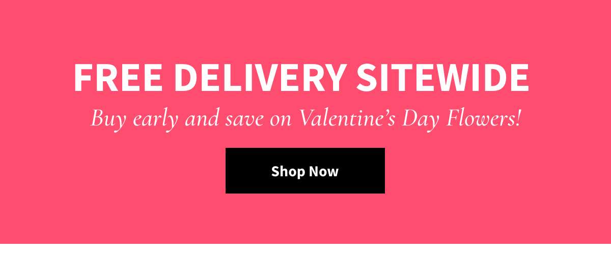 Free Delivery Sitewide. Shop Now »