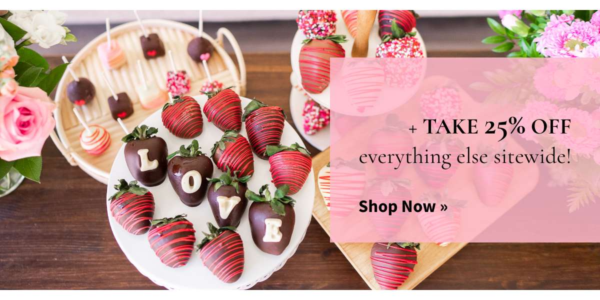 + Take 25% Off everything else sitewide! Shop Now »