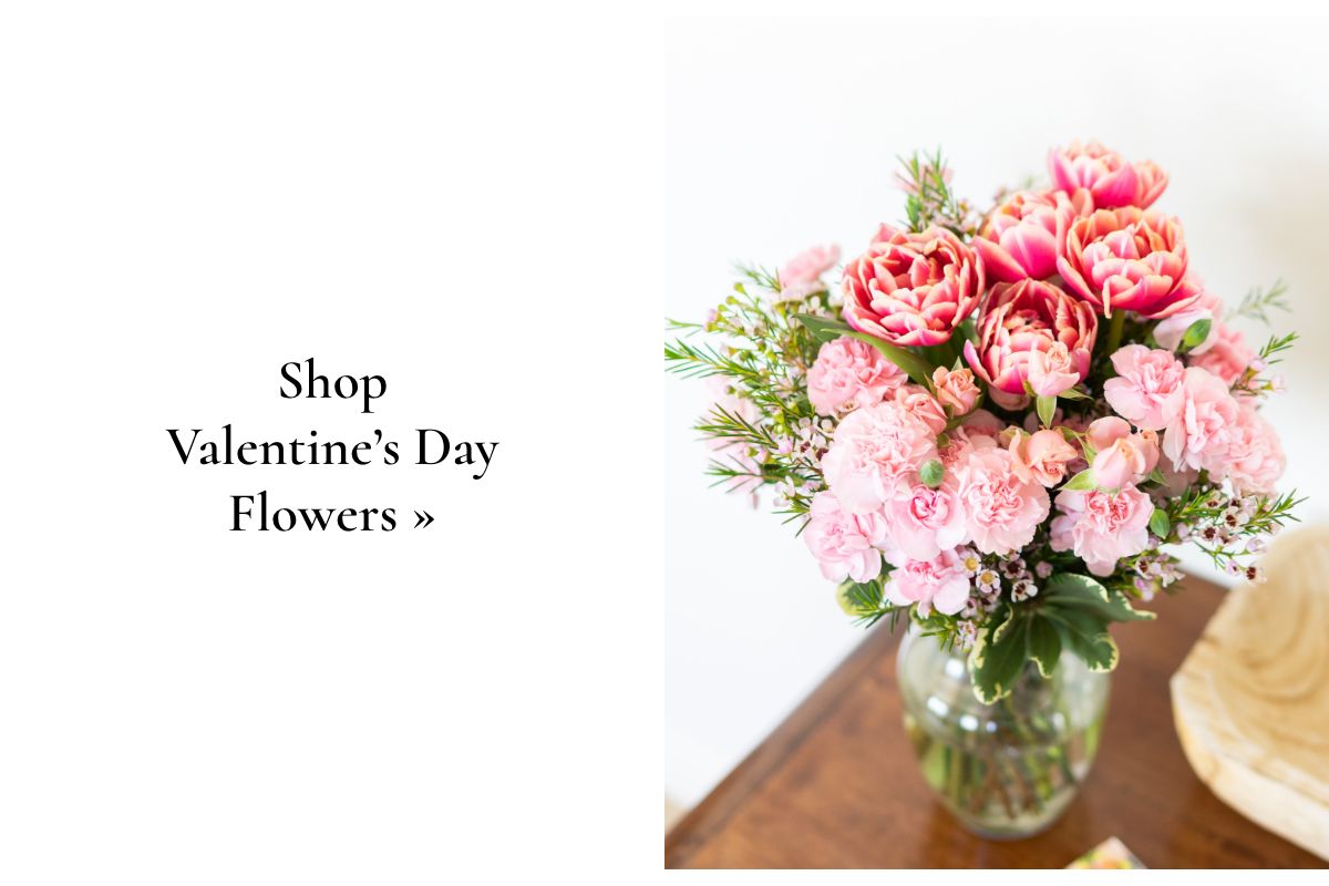 Shop Valentine's Day Flowers »