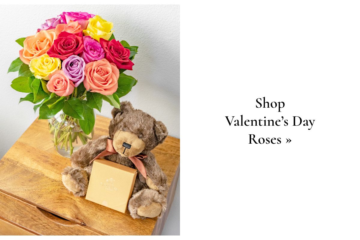 Shop Valentine's Day Roses »