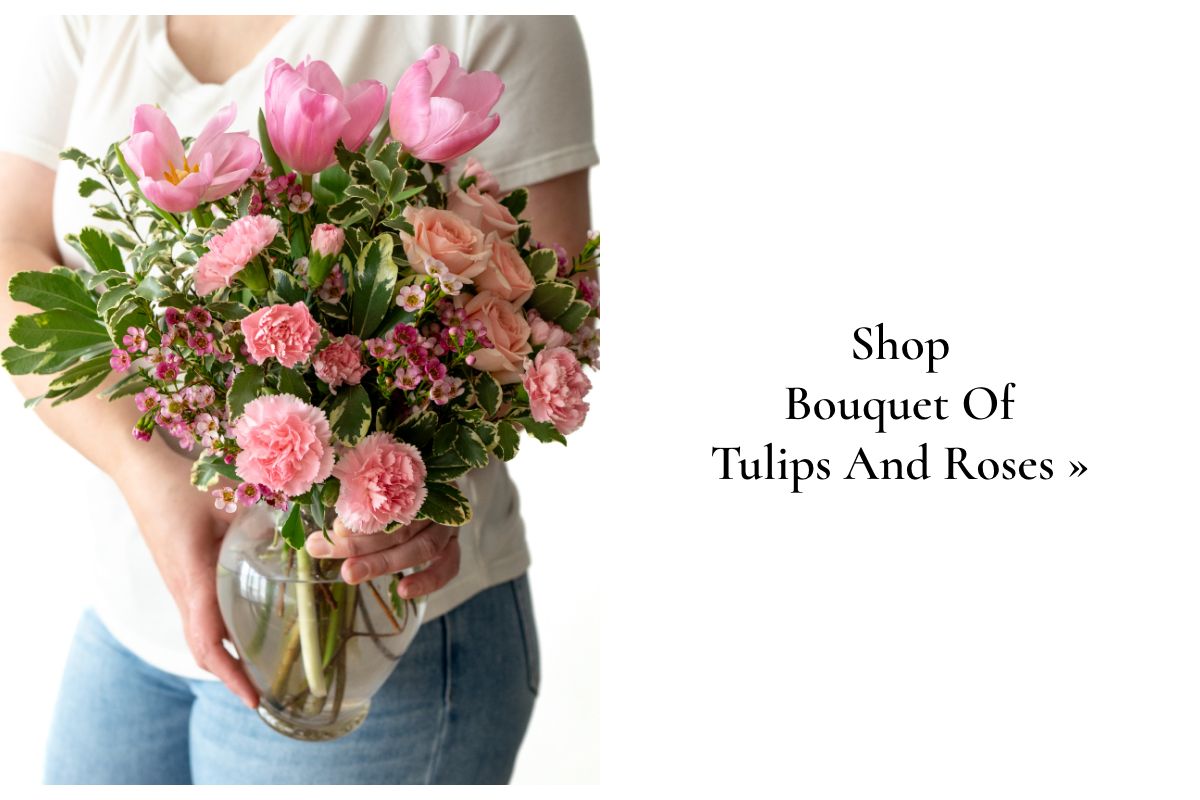 Shop Now »