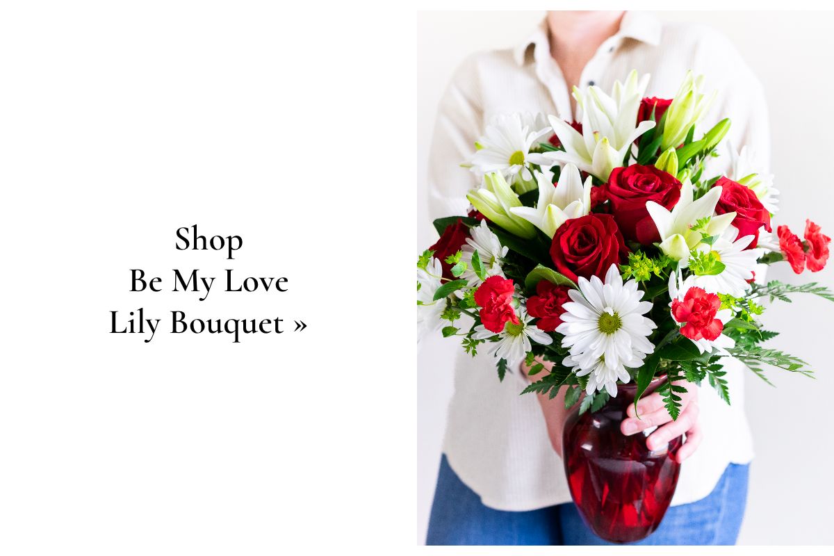 Shop Now »