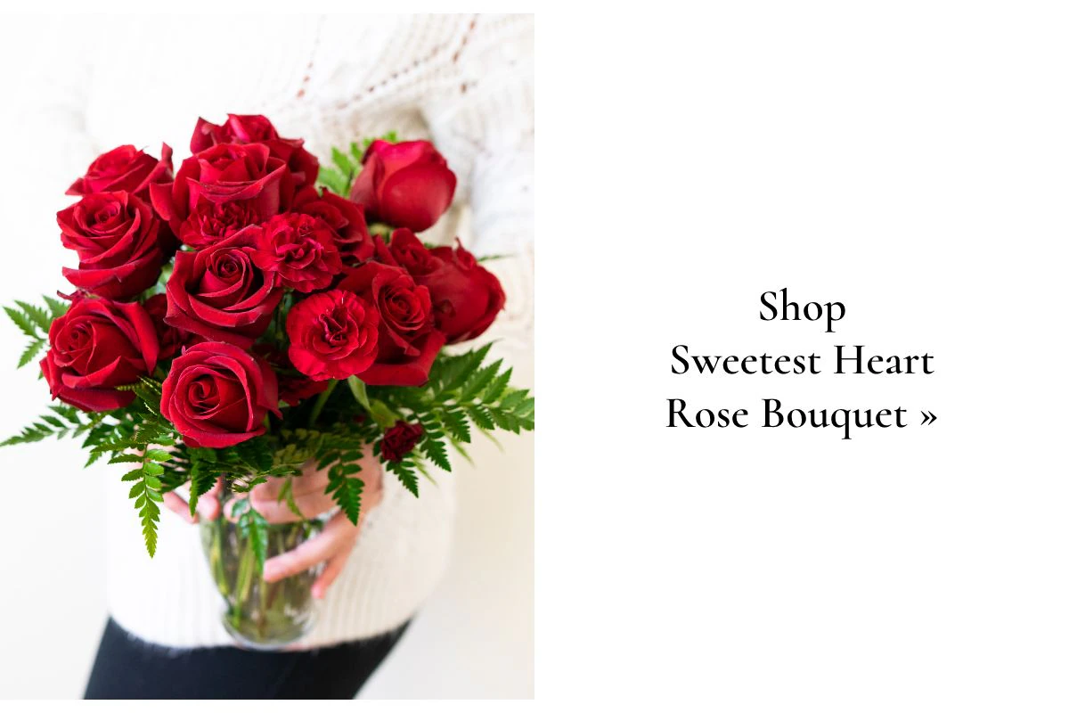 Shop Now »