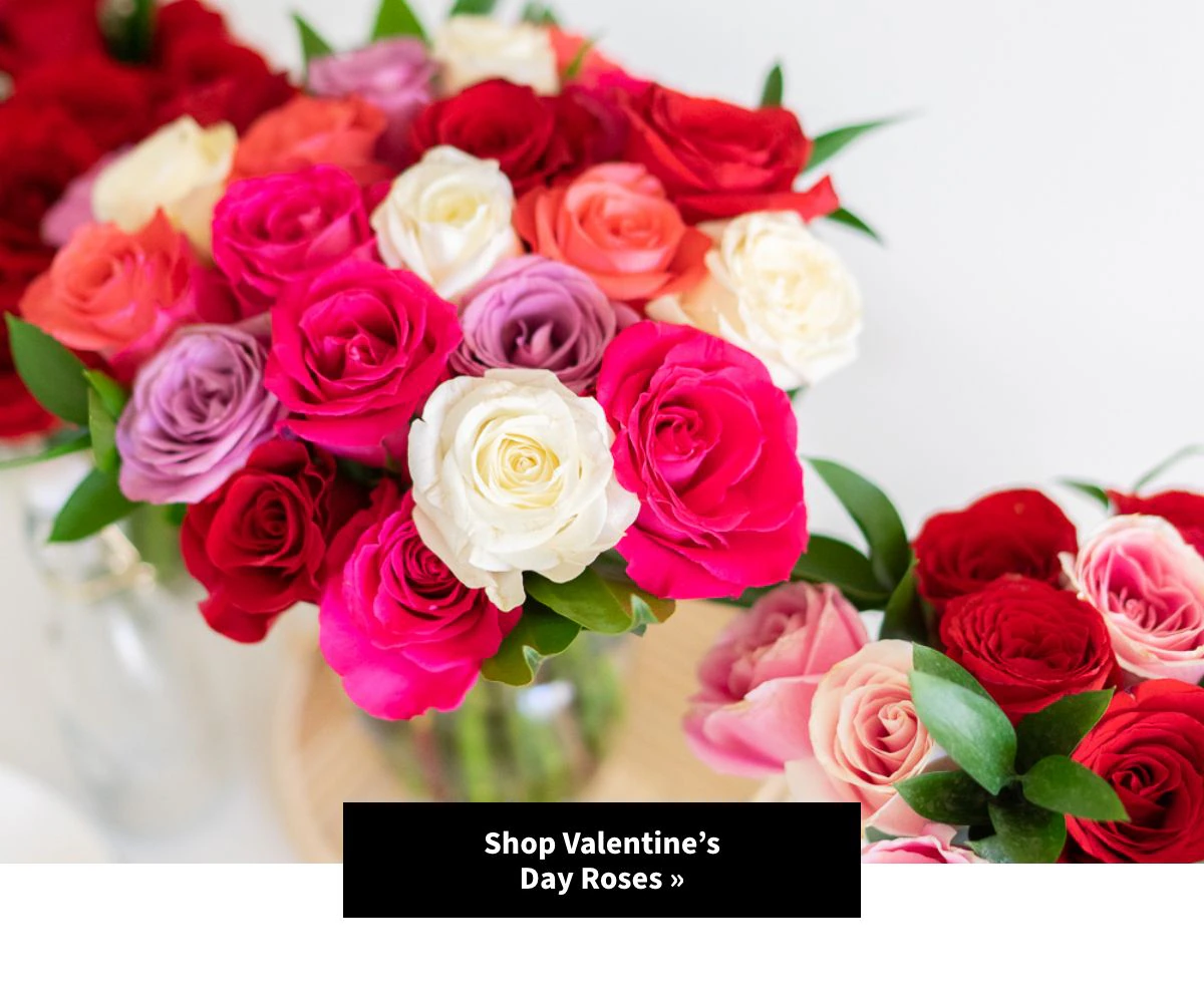 Shop Roses »