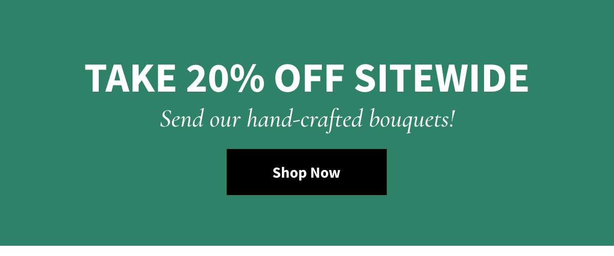 Take 20% Off Sitewide - Shop Now