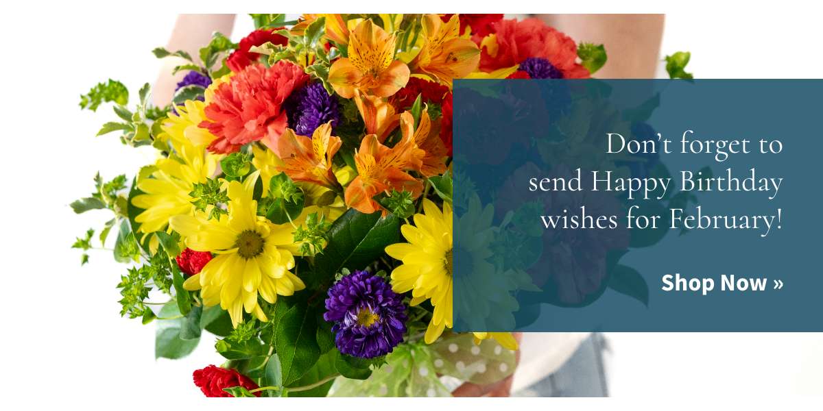 Shop Birthday Gifts »