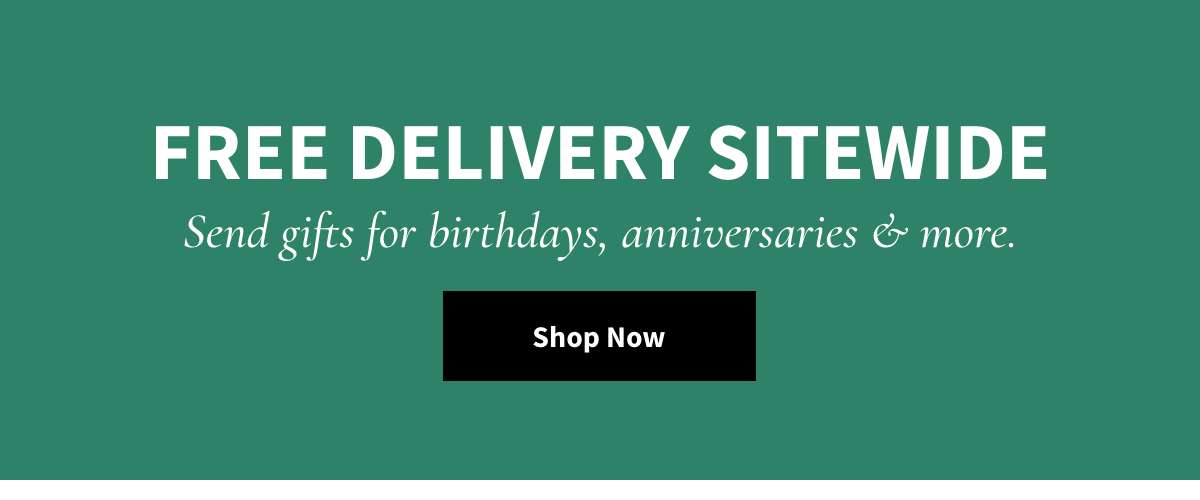 Free Delivery Sitewide - Shop Now