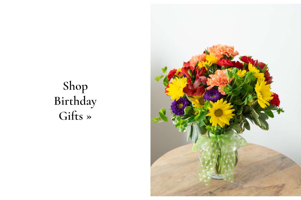 Shop Birthday Gifts »