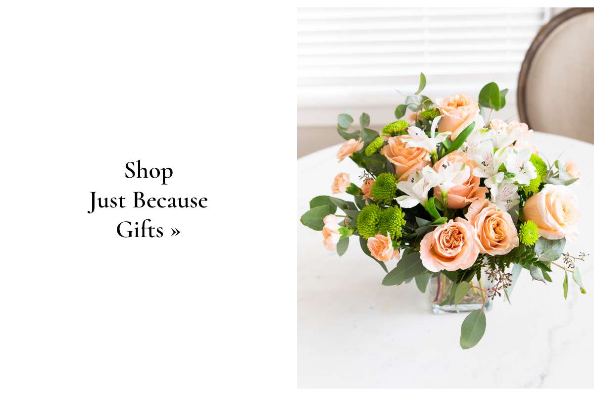 Shop Just Because Gifts »