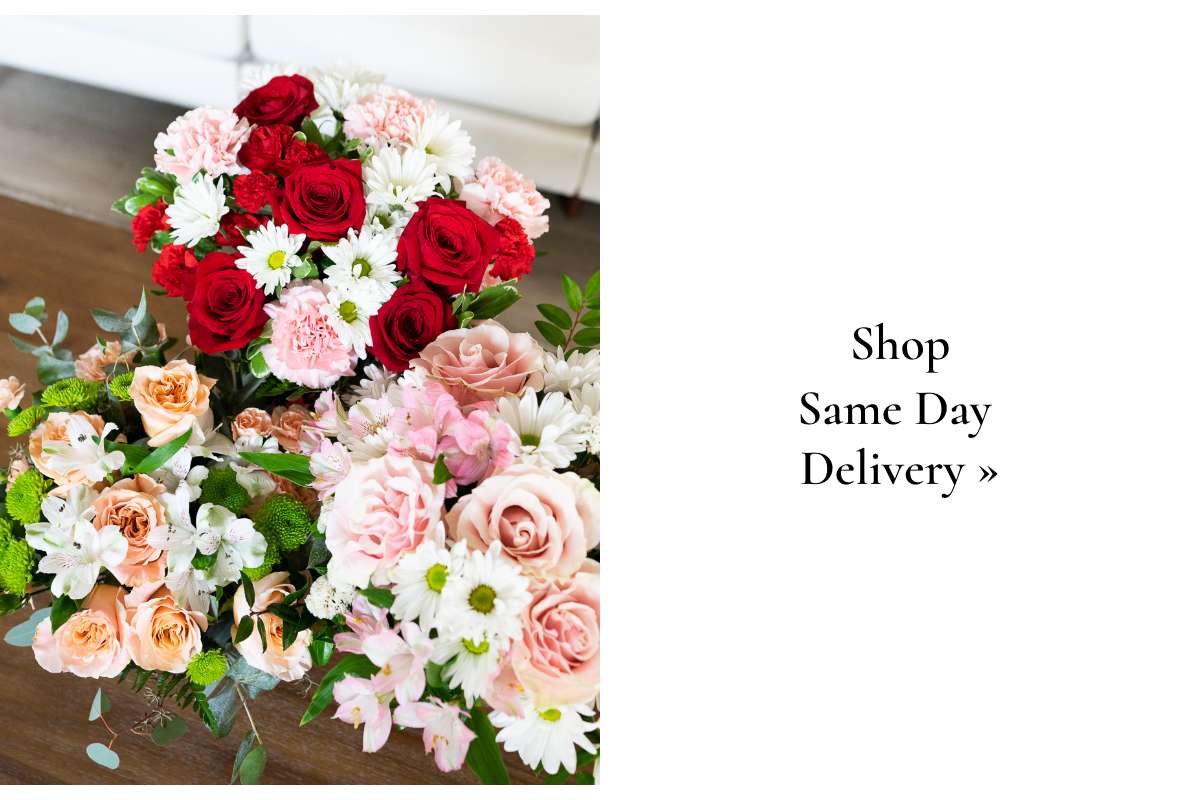 Shop Same Day Delivery »