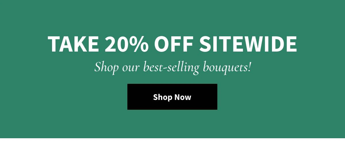 Take 20% Off Sitewide - Shop Now